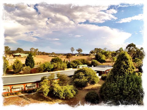 Armidale Rose Villa Motel - Tourism Brisbane 1