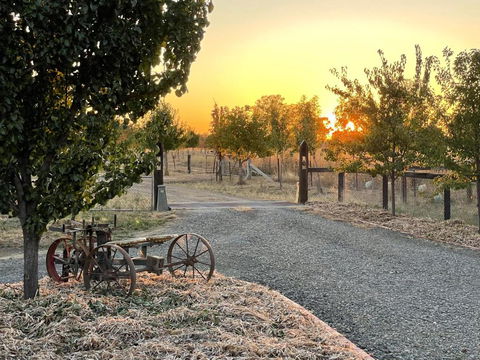 Maple Lane Farm Stay - Tourism Brisbane 0