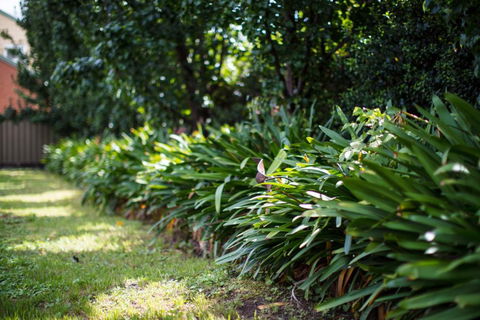 Merivale Motel - Tourism Brisbane 2