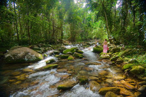 Misty Mountains Hideaway - Tourism Brisbane 0