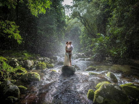 Misty Mountains Hideaway - Tourism Brisbane 3