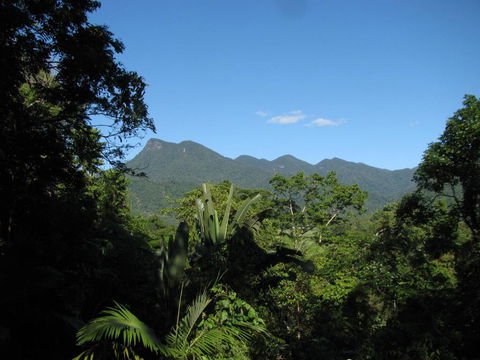 Mossman Gorge Bed And Breakfast - Tourism Brisbane 0