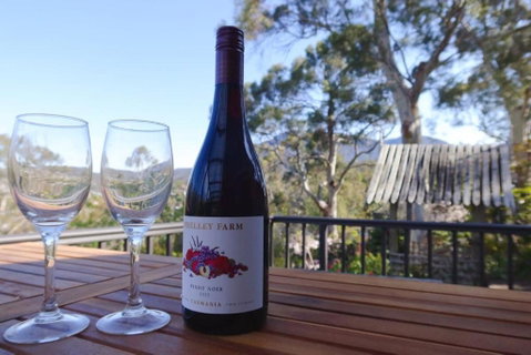Mountains And Treetops Retreat - Nature Getaway - Brisbane Tourism 2