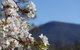 Mountains And Treetops Retreat - Nature Getaway - thumb 3