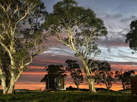 Myrtle At Lexington Park - Brisbane Tourism 3