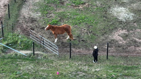 Myrtle At Lexington Park - Brisbane Tourism 1