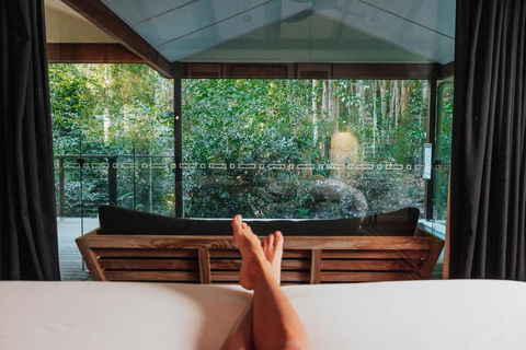 Narrows Escape Rainforest Retreat - Tourism Brisbane 3