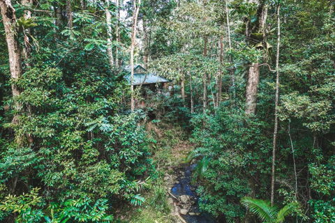Narrows Escape Rainforest Retreat - Tourism Brisbane 0