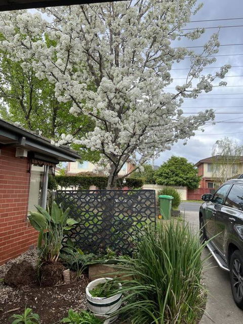 Newly Refurbished House- SuperFast Internet - Tourism Brisbane 2