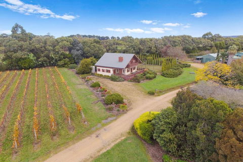 Northway Downs Estate Vineyard - Brisbane 4u 3