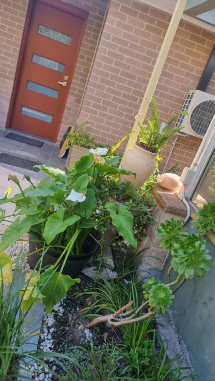 Oasis In The Heart Of Dural - Tourism Brisbane 3