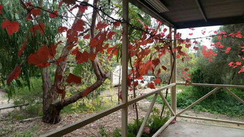Padthaway Caravan Park - Tourism Brisbane 1