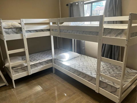 Palm Hamilton Backpacker - Brisbane Tourism 3