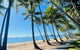 PalmCove DriftAway - thumb 3