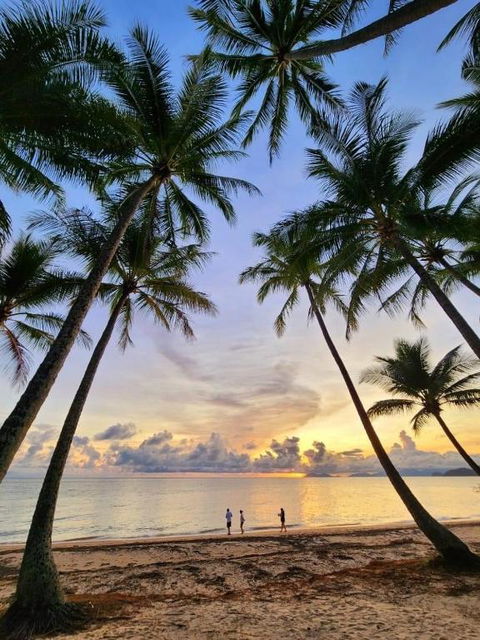 PalmCove DriftAway - Tourism Brisbane 1