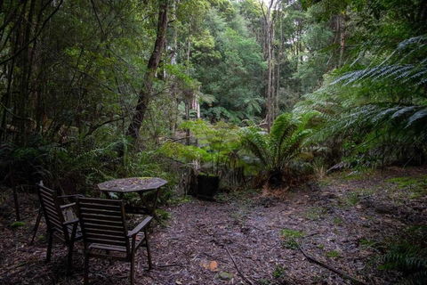 Parkwood Cottage - Brisbane Tourism 1