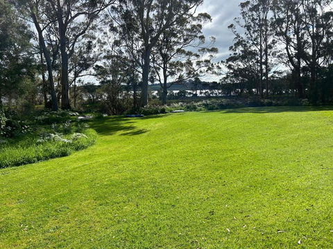 Peacock - Brisbane Tourism 0