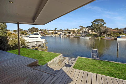 Pelican Brief - Brisbane Tourism 3