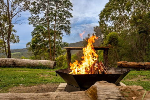 Personal Sauna & Ice-bath At Kookaburra Cabin - Tourism Brisbane 2