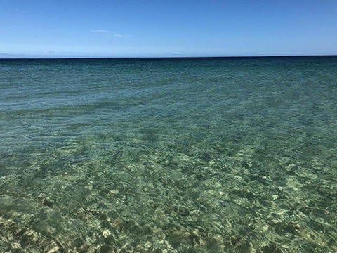 Peppermint Grove Beach Holiday Park - Tourism Brisbane 3