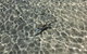 Peppermint Grove Beach Holiday Park - thumb 1