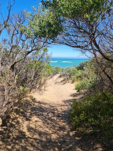 PIECE OF PARADISE, Huge 4 Bedroom Haven - Brisbane Tourism 0