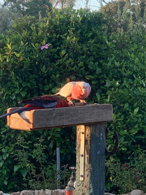 Pier 9 - Tourism Brisbane 3