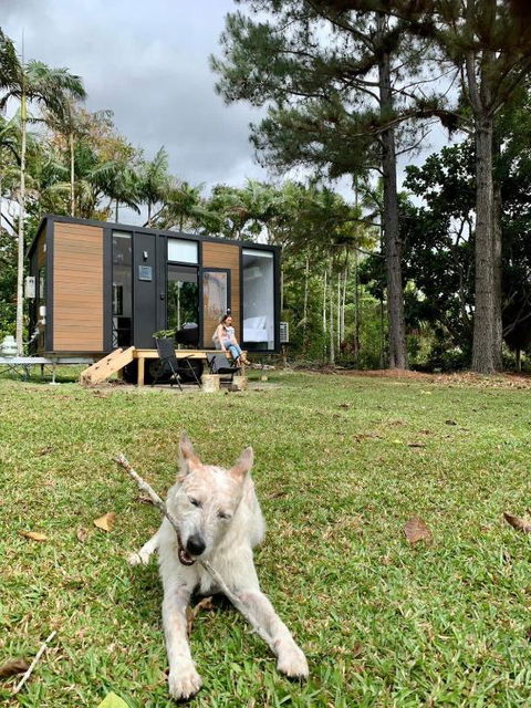 Piyar Tiny Haven By Tiny Away - Tourism Brisbane 0