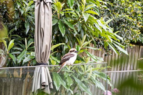 Quaint Queen Room - Central Location At Pymble - Shared Bathroom - Brisbane Tourism 1