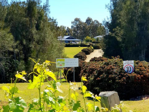 Red Door Collective - RDC Vineyard Estate, Luxury Adult Only Stay - Tourism Brisbane 0