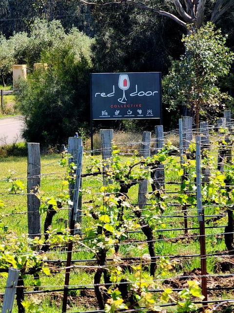 Red Door Collective - RDC Vineyard Estate, Luxury Adult Only Stay - Tourism Brisbane 1