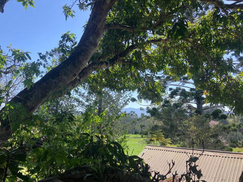 Potters Cottage - Tourism Brisbane 3