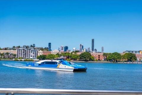 Prime Location: Just Steps Away From Oxford Street - Brisbane Tourism 0