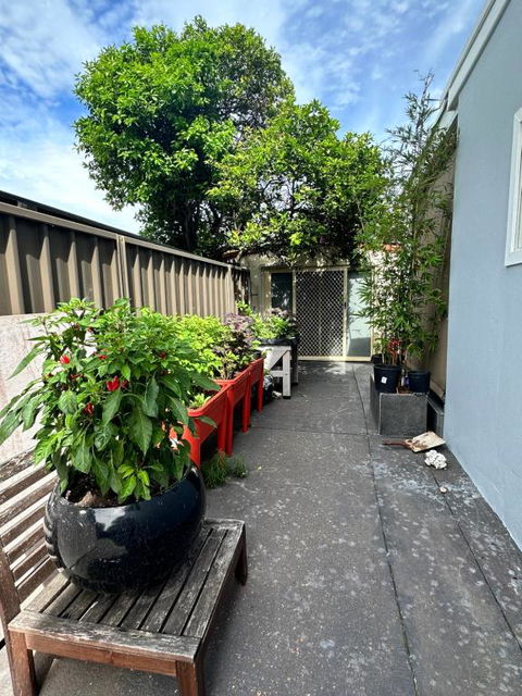 Private, Local Living Studio In Mascot, Airport - Brisbane Tourism 2