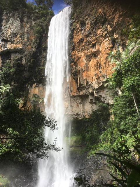 Purling Brook Falls Gwongorella - Brisbane 4u 1