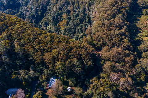 Purling Brook Falls Gwongorella - Brisbane 4u 2