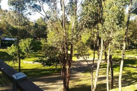 Purple House - Corner Spa, Views And Wildlife - Brisbane Tourism 1