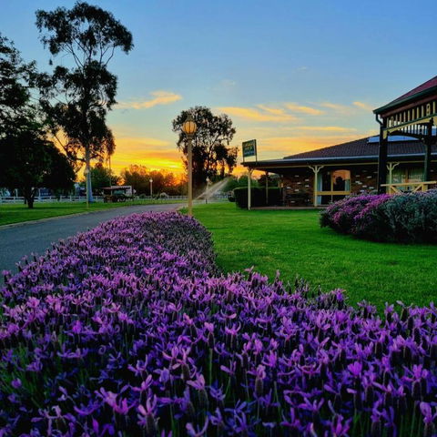 Quality Inn Carriage House - Tourism Brisbane 1