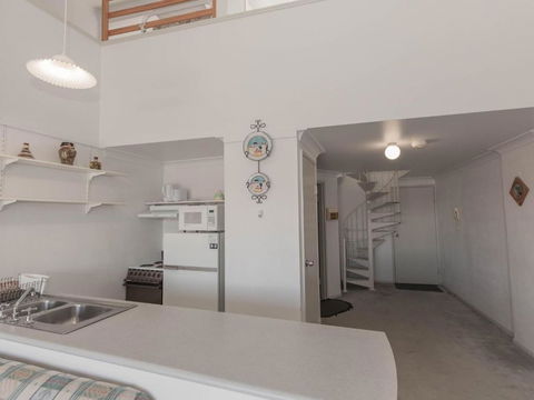 Razorback 1 - Tourism Brisbane 3