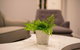 Astrina 2 Bed Value Apartment - thumb 1