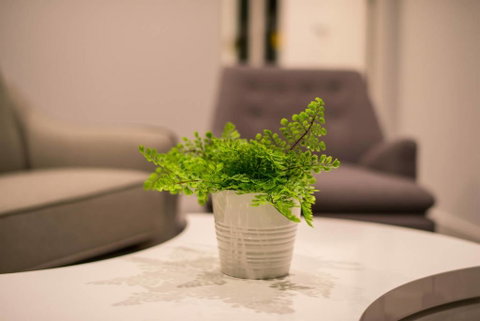 Astrina 2 Bed Value Apartment - Brisbane Tourism 1