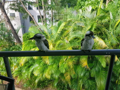 Baden 45 - Rainbow Shores, Beachside Unit, Aircon, Swimming Pool, Tennis Court - Tourism Brisbane 3