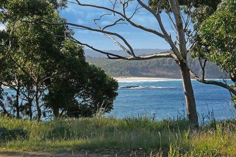 Bannister 49 - Neptune's Way - Tourism Brisbane 1