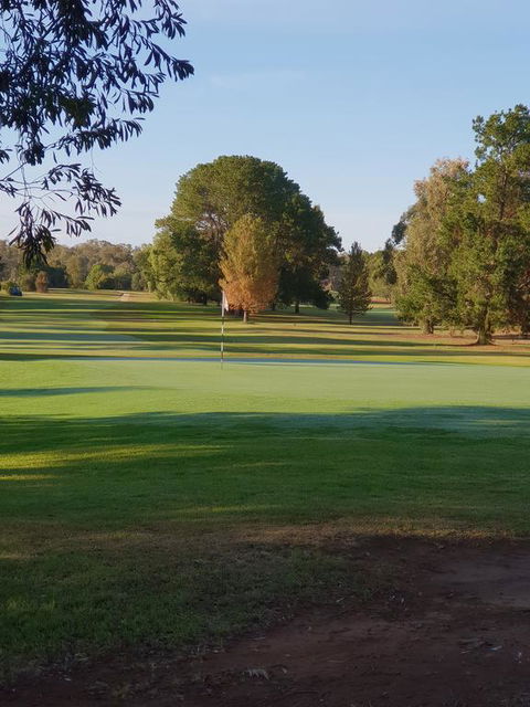 Barooga Golf View Motel - Tourism Brisbane 2