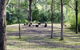 Barrington River Lodge - thumb 1