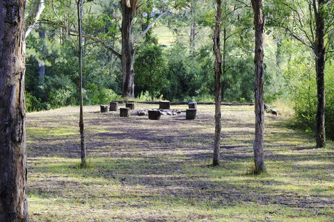 Barrington River Lodge - Tourism Brisbane 1