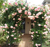 Baudins of Busselton Bed and Breakfast - Brisbane 4u