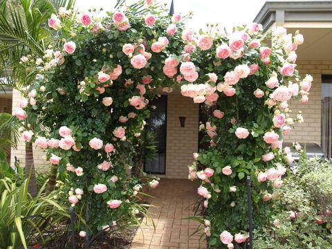 Baudins Of Busselton Bed And Breakfast - Tourism Brisbane 0