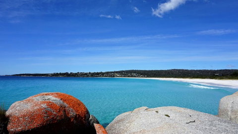 BAY OF FIRES BEACH SHACK Ocean Views From A Modern Beachhouse - Brisbane Tourism 3