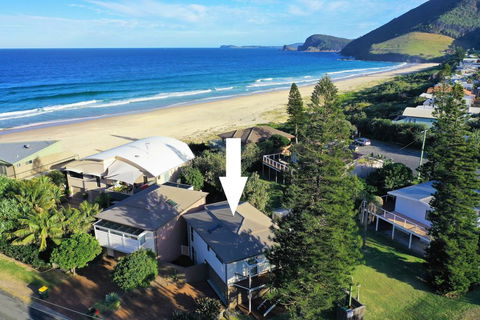 BEACH - BAY - BEE - PET FRIENDLY - Tourism Brisbane 0